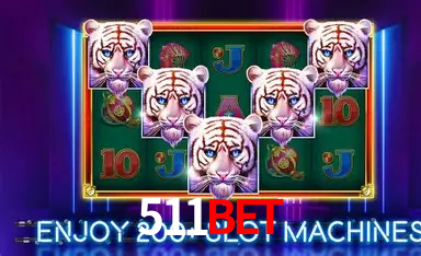 APP oficial da 511bet para mobile